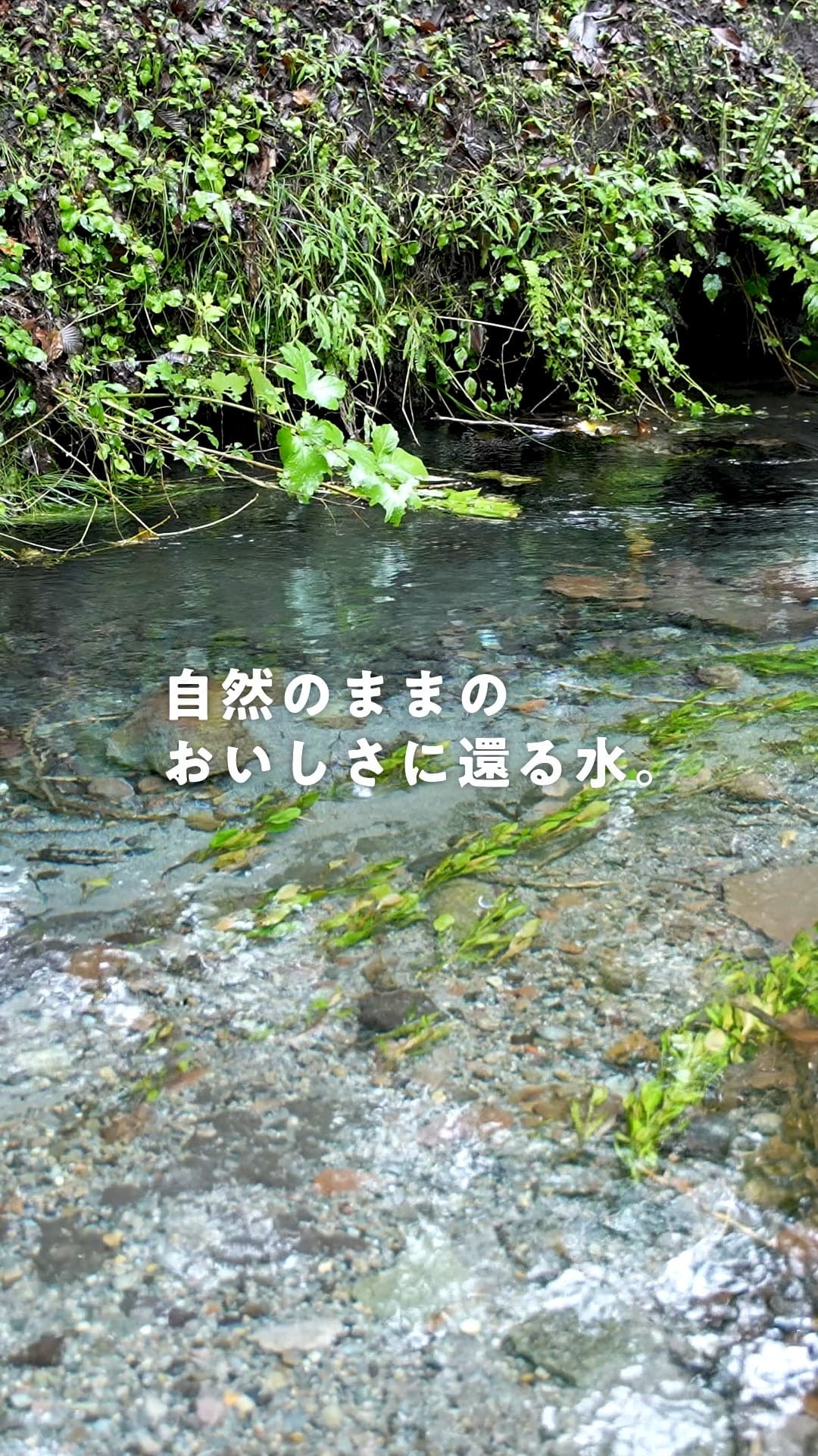 Instagram shop